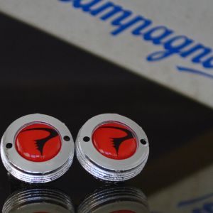 Pinarello crankset dust caps fit shimano campagnolo ofmega gipiemme red