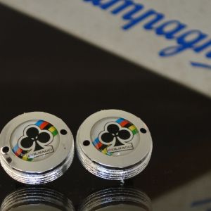 Colnago 2 crankset dust caps fit shimano campagnolo ofmega gipiemme retro Italy