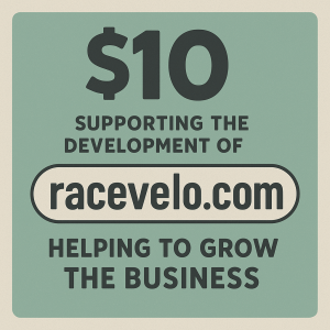 Donation for the development of unprofitable activities (Kopia)